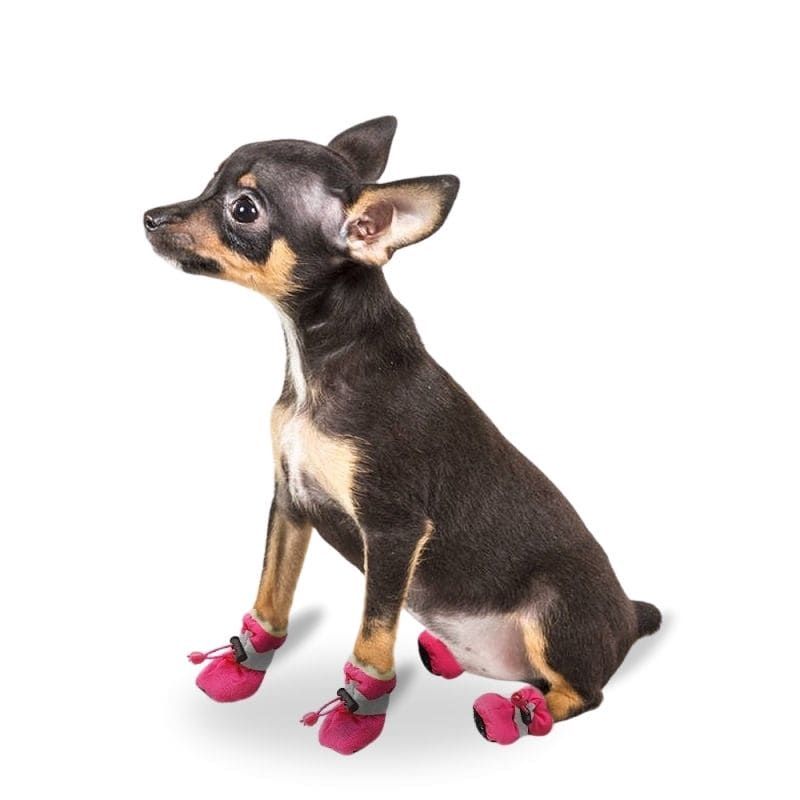 Zapatos impermeables antideslizantes para mascotas